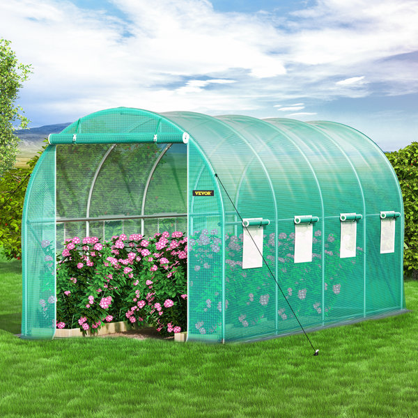 VEVOR Hobby Greenhouse & Reviews Wayfair Canada
